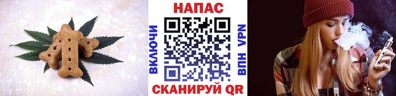 Cannafood конопля  mega ССЫЛКА  Камызяк 