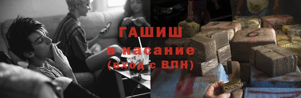 индика Козловка