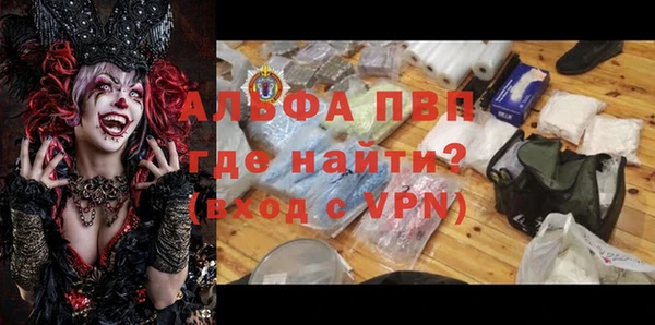 ПСИЛОЦИБИНОВЫЕ ГРИБЫ Кодинск
