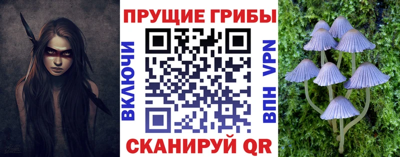 Галлюциногенные грибы MAGIC MUSHROOMS  Камызяк 